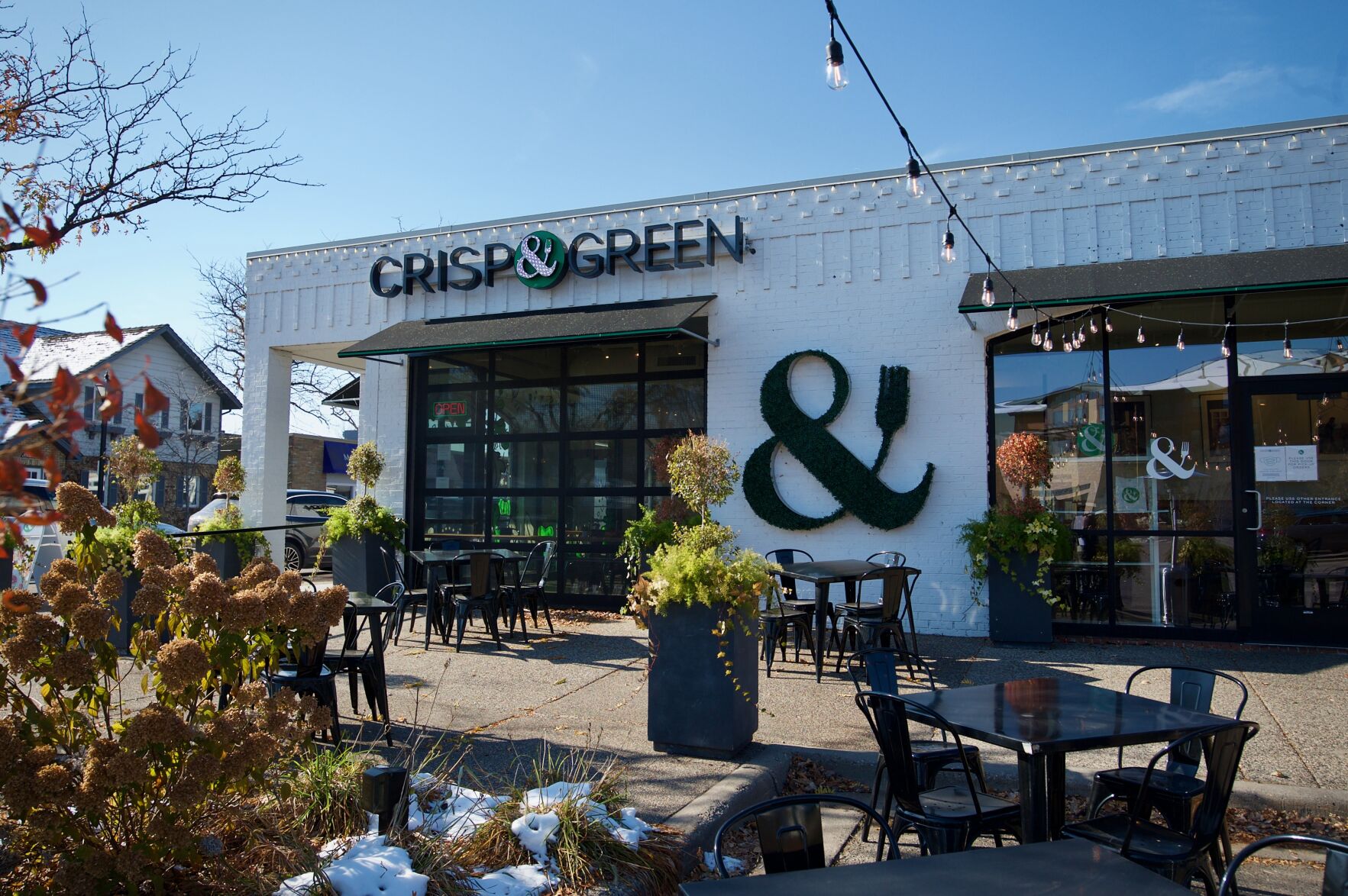 wz05BN_CrispAndGreen.jpeg